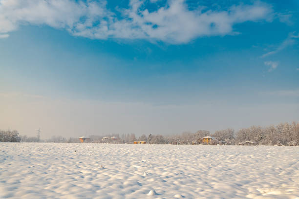 Idyllic winter countryside landscape covered in snow on bright sunny day