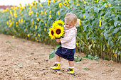 Cute adorable toddler girl on sunflower field with yellow flowers. Beautiful baby child with blond hairs. Happy healthy little daughter, smiling and holding bouquet. Outdoor portrait on summer day.