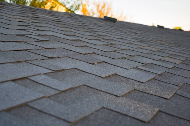 istock Close up view on asphalt roofing shingles 1091733966
