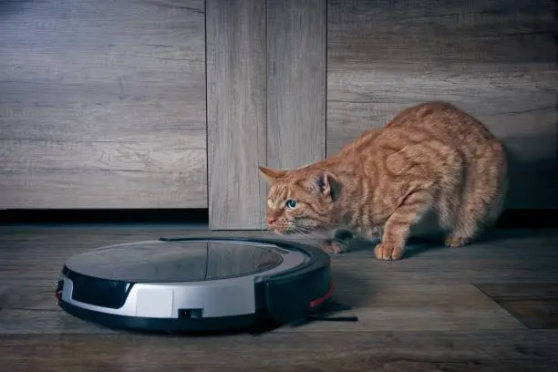 Photo of Funny ginger cat lurking behind a robot vacuum cleaner