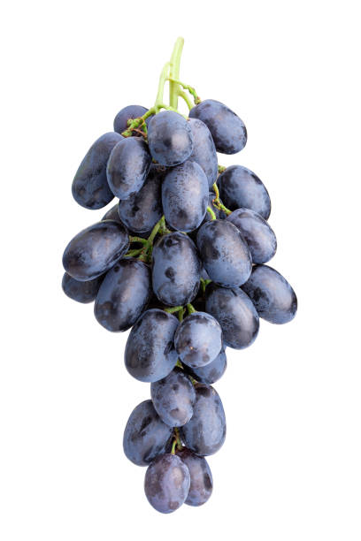 istock Branch of grapes isolated on white background 1091737214
