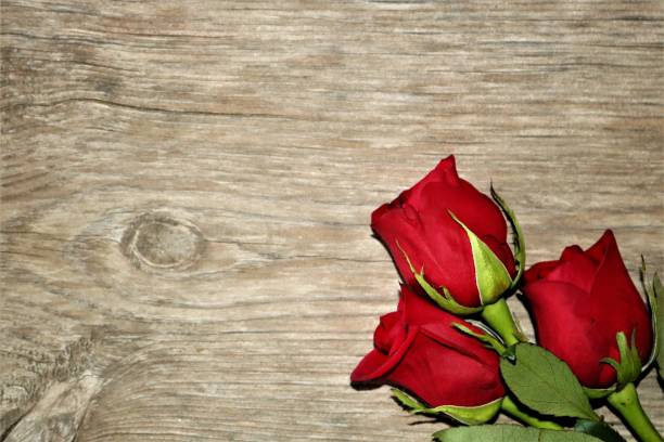 istock Three Red Rose Buds on Wood Background 1091742326