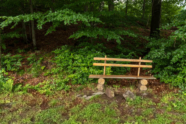 istock Wooden bench - resting place near woods 1091746512