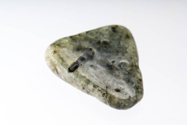 istock Prehnite mineral stone sample with white background 1091749104
