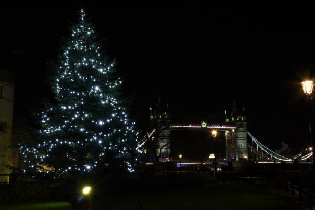 Tower Bridge and Christmas tree at night Night shot of a Christmas tree with Tower Bridge in the background tower bridge london england bridge europe stock pictures, royalty-free photos & images