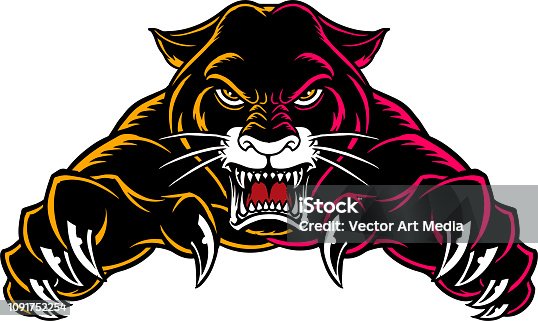 871 Cartoon Of The Cougar Mascot Illustrations & Clip Art - iStock