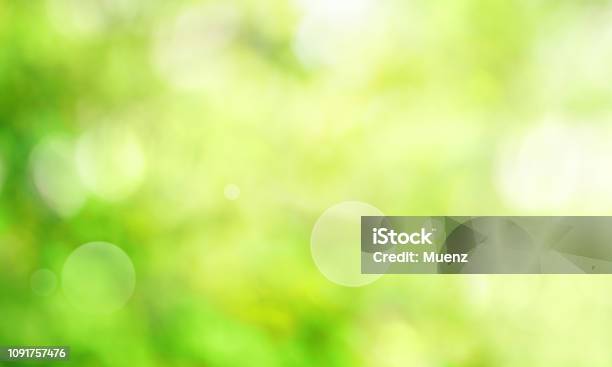 Abstract Spring Picture Green Abstract Green Spring Scenery Stock Photo - Download Image Now ...