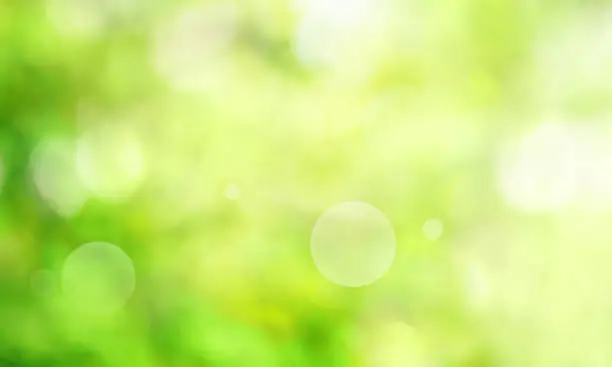 Abstract bright green spring scenery with sunny bokeh