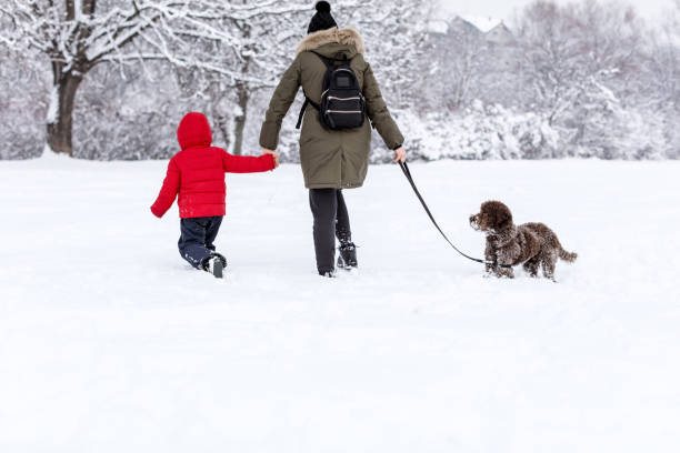 istock Happy young family playing in fresh snow 1091757614