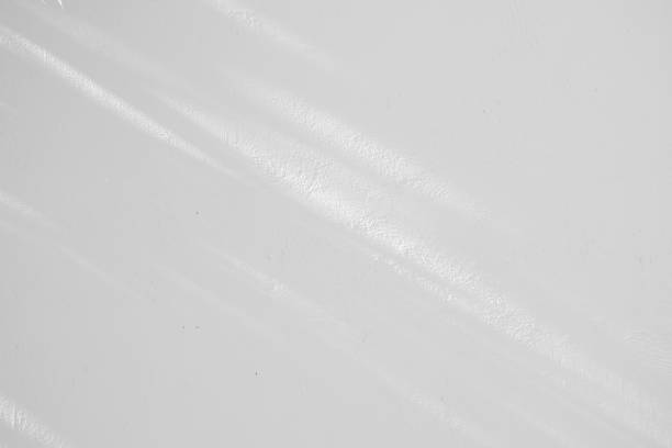 istock Black and White abstract background textuer of shadows leaf on a concrete wall 1091758320