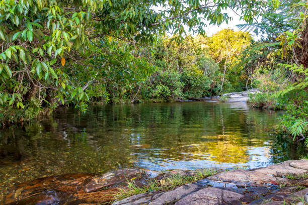 istock Small lake and stream with clear water in forest 1091758772