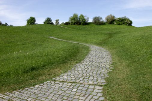 XXXL - cobbled stone trail s-curve up hill with fresh green grass - vibrant color, polar filtered - camera canon 5D mark II - unsharped RAW - adobe colorspace