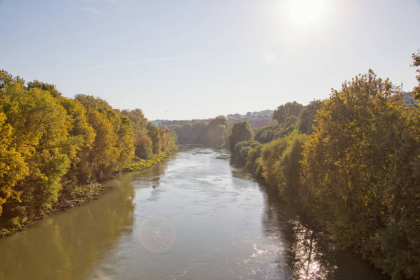 istock Tiber river banks in Rome, Italy 1091760278