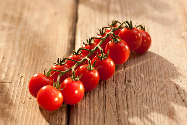 Cocktail tomatoes stock photo