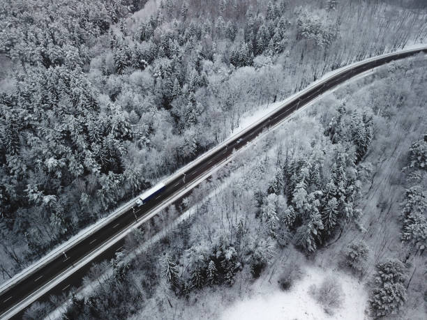 istock Top view of snow covered trees in the winter 1091761564