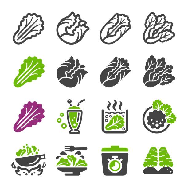 ilustraciones, imágenes clip art, dibujos animados e iconos de stock de conjunto de iconos de lechuga - symbol food salad icon set