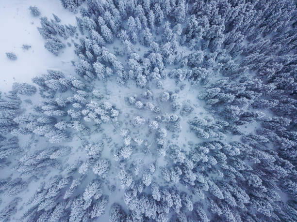 istock Ilgaz Mountain from Air 1091763402