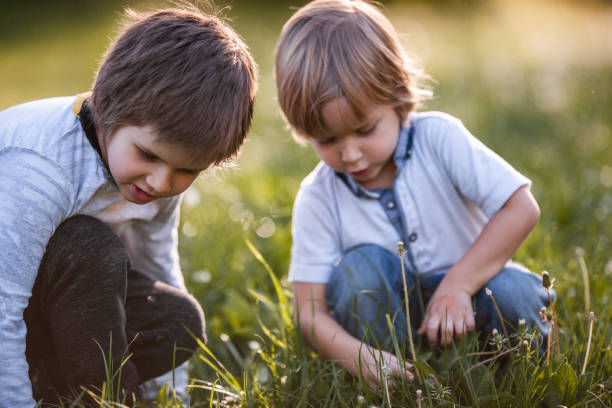 istock Two little boys playing in the grass at the park. 1091764066