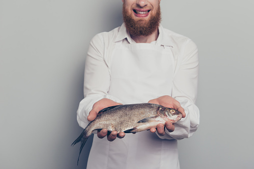 Portrait of he nice attractive handsome cheerful positive optimistic experienced butcher guy holding giving showing fish in arms hands seafood recipe isolated over gray pastel background