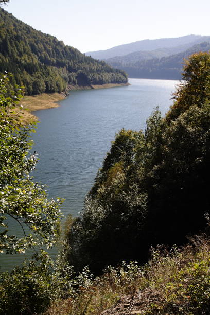 istock Lake Vidraru in Romania 1091774132
