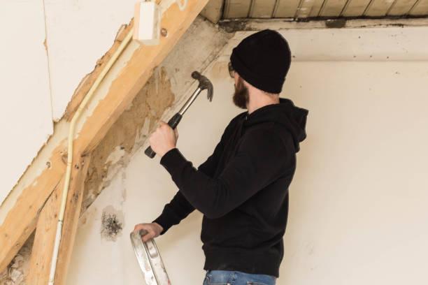 istock Handyman standing on a ladder and renovating a home, using tools like a hammer 1091776176