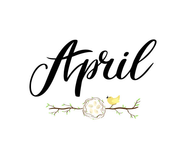 4 월 달 이름입니다. 손으로 나무의 분기와 레터링, 계란 및 새 둥지. 부활절의 상징입니다. 시즌으로 포스터, 엽서, 인사 카드, 초대장 서식 파일 벡터입니다. 개념 4 월 광고 - april stock illustrations