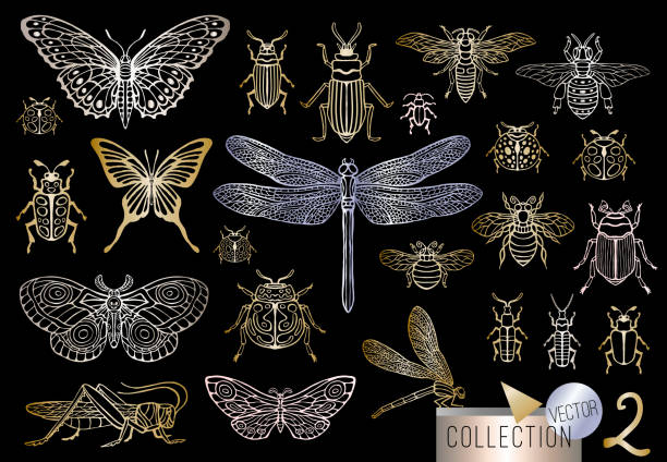 ilustraciones, imágenes clip art, dibujos animados e iconos de stock de dibujado a mano grande oro juego de bichos insectos, escarabajos, abejas, mariposa, polilla, abejorro, avispa, libélula, saltamontes. - silhouette stag beetle beetle insect