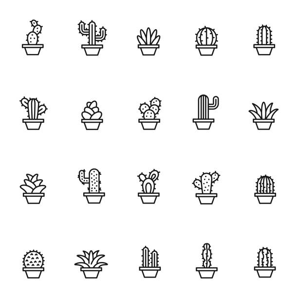 ilustraciones, imágenes clip art, dibujos animados e iconos de stock de conjunto de iconos de cactus - cactus