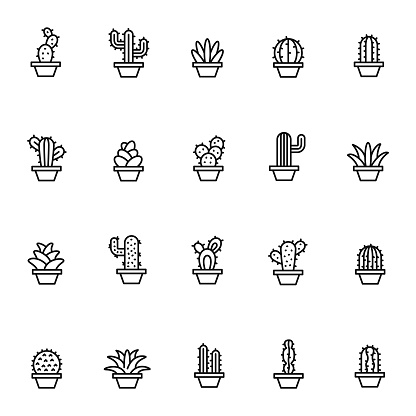 Cactus icon set
