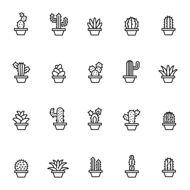 Cactus icon set Cactus icon set cactus stock illustrations