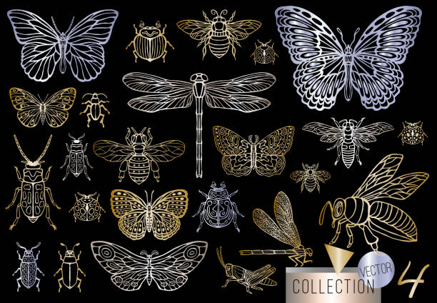 ilustraciones, imágenes clip art, dibujos animados e iconos de stock de dibujado a mano grande oro juego de bichos insectos, escarabajos, abejas, mariposa, polilla, abejorro, avispa, libélula, saltamontes. - silhouette stag beetle beetle insect