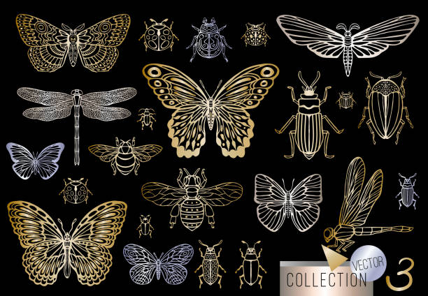 Big hand drawn golden line set of insects bugs, beetles, honey bees, butterfly, moth, bumblebee, wasp, dragonfly, grasshopper. Big hand drawn golden line set of insects bugs, beetles, honey bees, butterfly, moth, bumblebee, wasp, dragonfly, grasshopper. Silhouette vintage gold silver sketch style vector illustration dragonfly tattoo stock illustrations