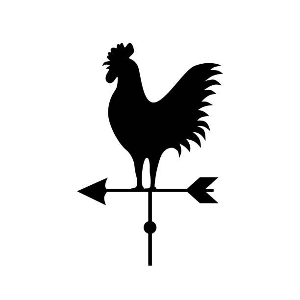 ilustraciones, imágenes clip art, dibujos animados e iconos de stock de icono de vector de veleta. - chicken poultry cartoon cockerel