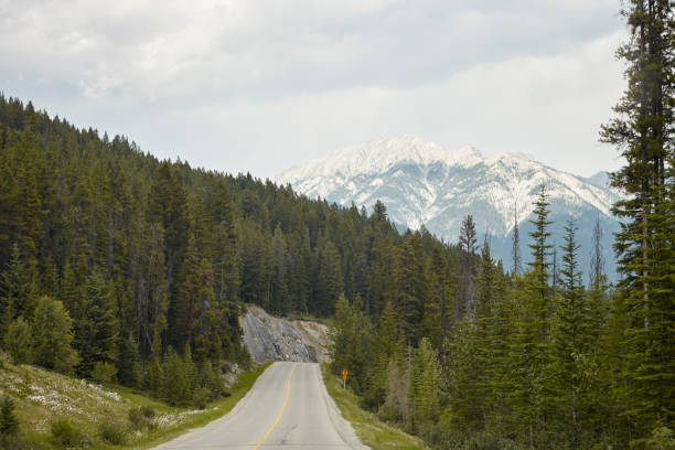 istock Country Road Through Wooded Valley Between Mountains In Alaska 1091788314