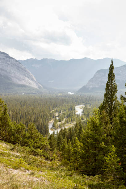 istock View Over River In Wooded Valley Between Mountains In Alaska 1091788570