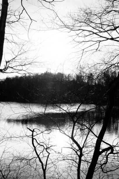 istock Beautiful lake and forest during sunset in monochrome 1091789906