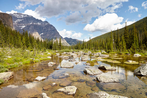 istock River Running Through Wooded Valley Between Mountains In Alaska 1091789964