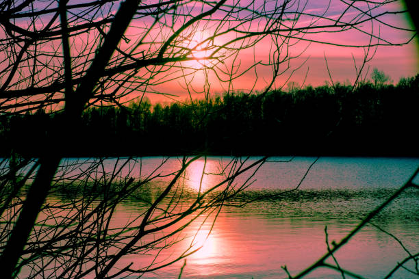 istock Beautiful lake and forest during sunset 1091790010