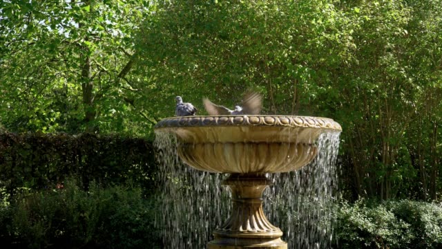 Bird Bath in London Regent’s Park Avenue Gardens