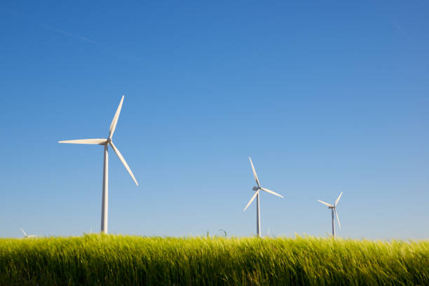 windmills - green environmental conservation meadow wind foto e immagini stock