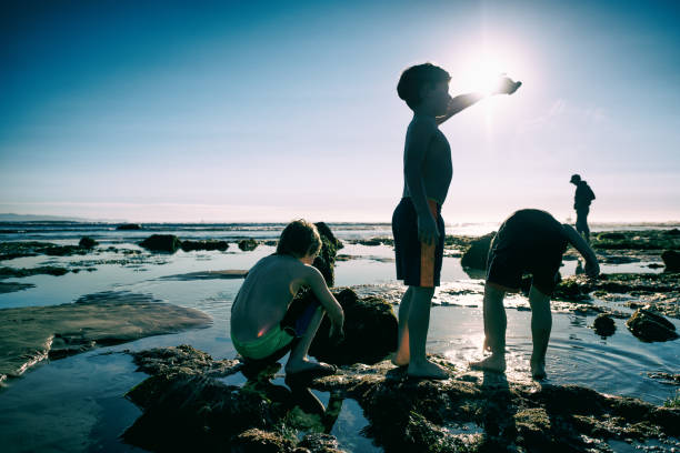 Family with young children explore, play, and learn about nature, the ocean, and sea creatures while tide pooling on the beautiful beaches of Santa Barbara.
