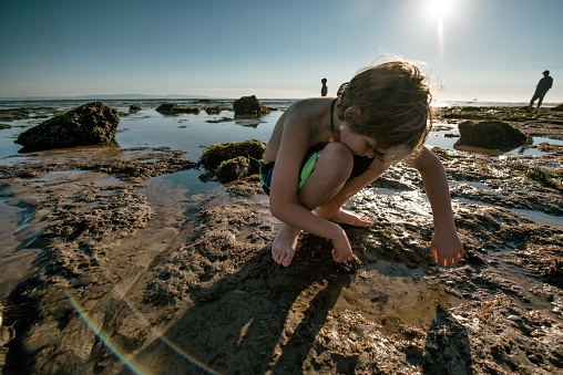 Family with young children explore, play, and learn about nature, the ocean, and sea creatures while tide pooling on the beautiful beaches of Santa Barbara.