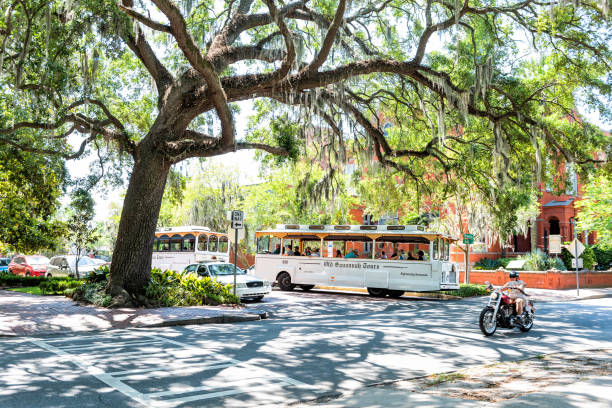 Street near Forsyth park, Georgia during sunny day in summer with people riding tour tram bus Savannah, USA - May 11, 2018: Street near Forsyth park, Georgia during sunny day in summer with people riding tour tram bus trolley bus stock pictures, royalty-free photos & images