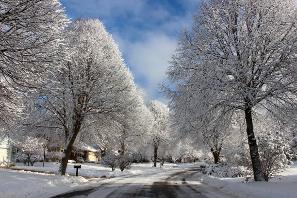 istock Beautiful winter morning background. 1091796300
