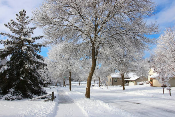 Beautiful winter morning background. stock photo