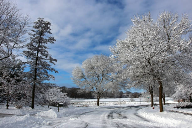 istock Beautiful winter morning background. 1091797268