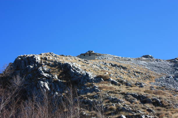istock forest and mountain. a nature tour 1091800308