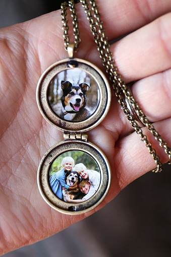 A woman's hand is holding an open gold antique locket and chain with pictures of children and a pet dog inside.