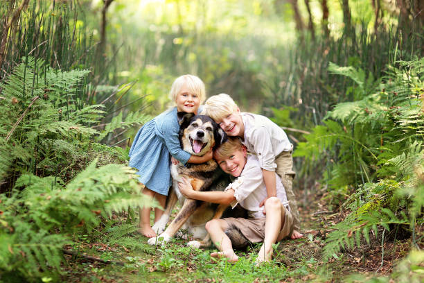 trzy szczęśliwe dzieci lovinglt przytulanie pet dog w lesie - pets baby young animal child zdjęcia i obrazy z banku zdjęć