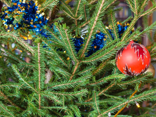 istock bauble and tinsel on twigs of live Christmas Tree 1091802846